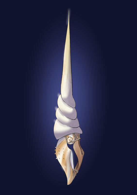 Shell